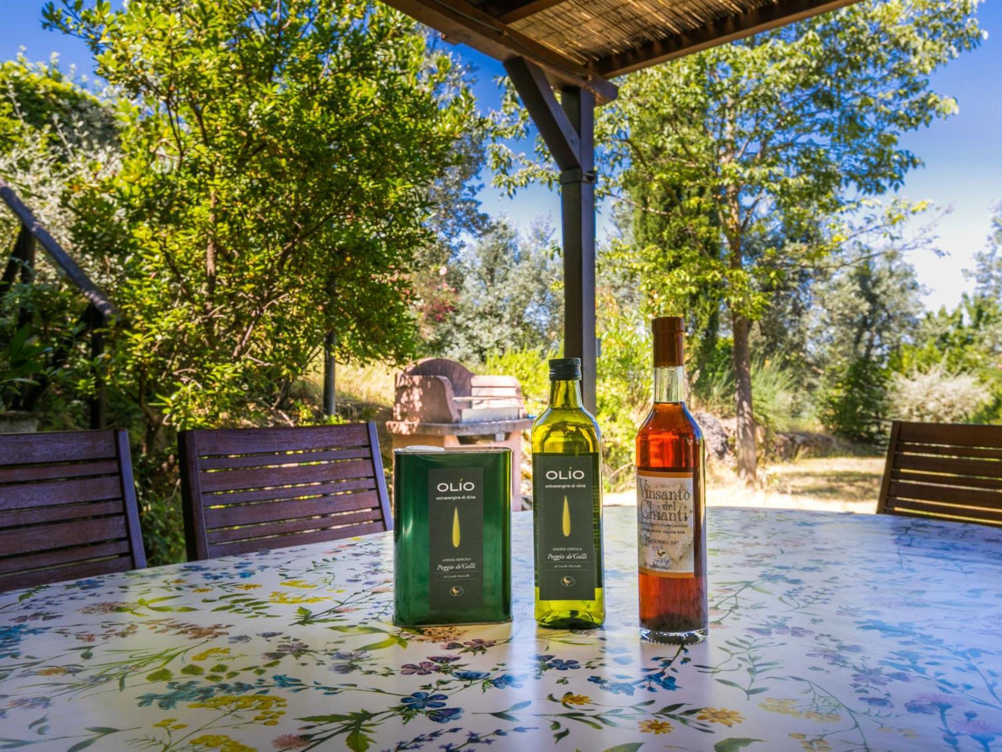 Holiday Home Poggio De'Galli By Interhome Pozzolatico Экстерьер фото